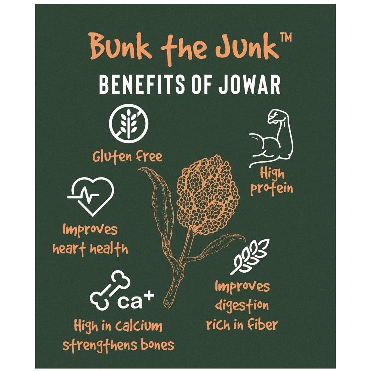 Benefits of Jowar- Bunk the Junk - EAT Anytime